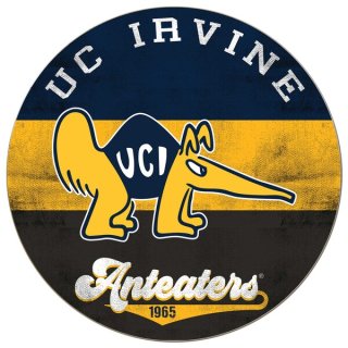 UC Irvine Anteåers 20'' x 20'' ȥ    ͥ