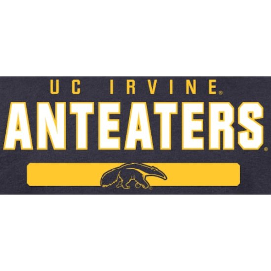 UC Irvine Anteåers  ȥ ԥ - ͥӡ ᡼2