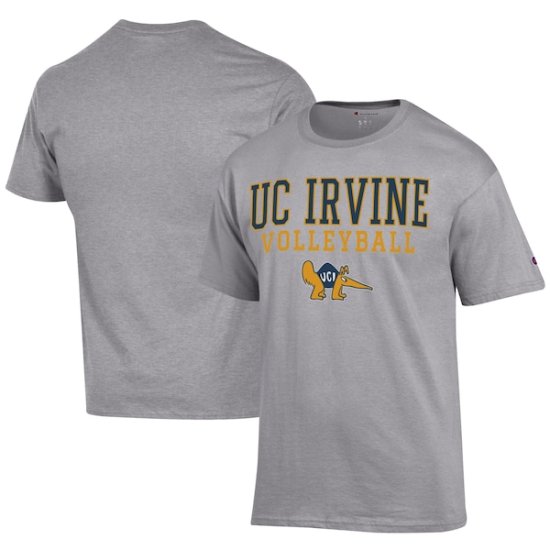 UC Irvine Anteåers ԥ   Volleyball 㡼 ᡼