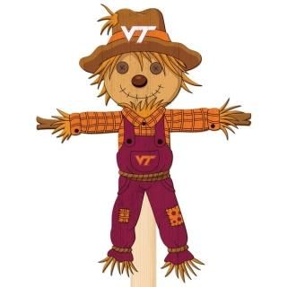 Virginia ƥå Hokies 12