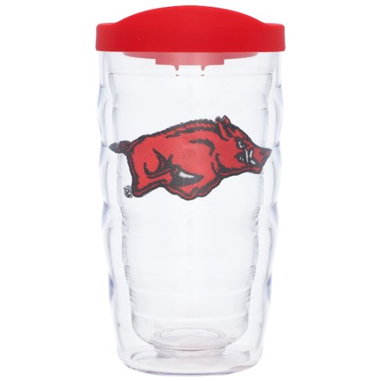 Arkansas RazorХås Tervis 10󥹡295ml 饷å ֥ ᡼