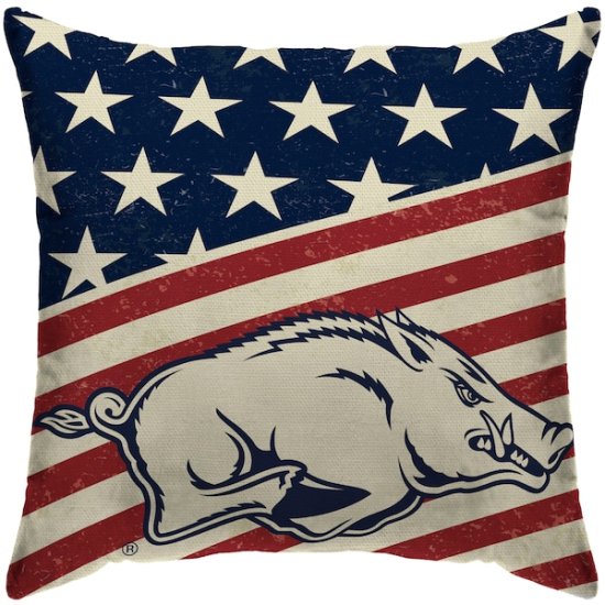 Arkansas RazorХås 18'' x 18'' ꥫna Decoråive  ᡼