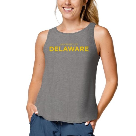 Delaware Fightin' ֥롼 Hens ꡼ 쥸  ǥ Tr ᡼