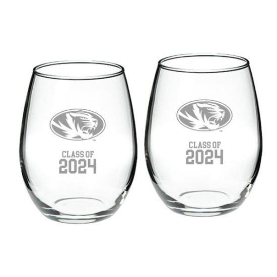 ߥꡦ Class  2024 21(621ml) 2 Stemless  ᡼