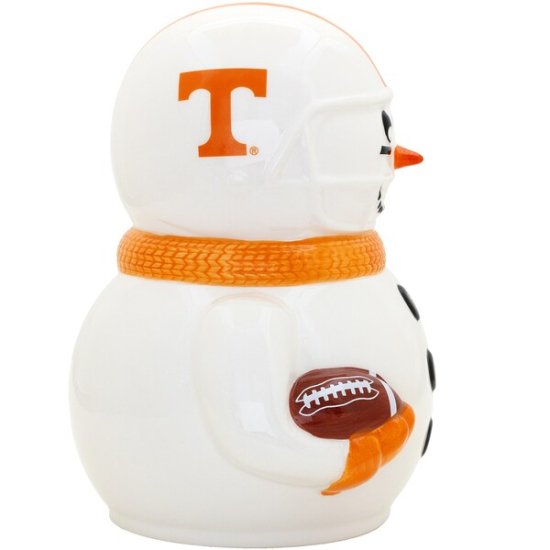 Tennessee Volunteers 10