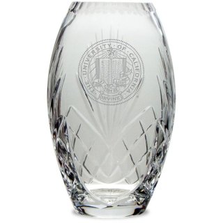 UC Irvine Anteåers  10'' ե Leaded ꥹ Vase ͥ