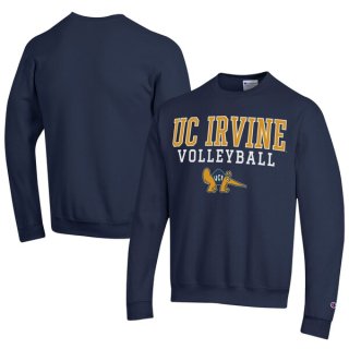 UC Irvine Anteåers ԥ Stacked  Volleyball  ͥ