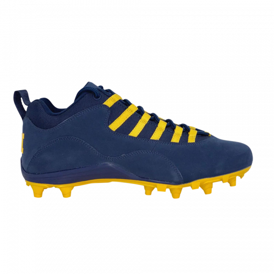 Air Jordan 10 Alpha Low 'Michigan Wolverines' PE ᡼