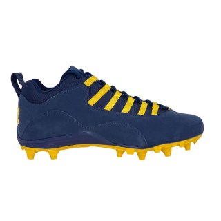 Air Jordan 10 Alpha Low 'Michigan Wolverines' PE ͥ