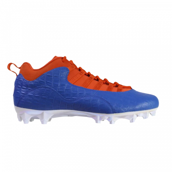 Air Jordan 10 Vapor Carbon Low 'Florida Gators' PE ᡼