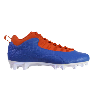 Air Jordan 10 Vapor Carbon Low 'Florida Gators' PE ͥ