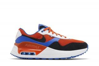 Air Max SYSTM 'Florida' ͥ