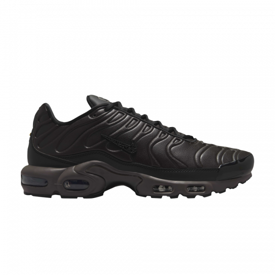 Air Max Plus Premium 'Paris' ᡼