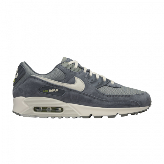 Air Max 90 Premium 'Iron Grey' ᡼