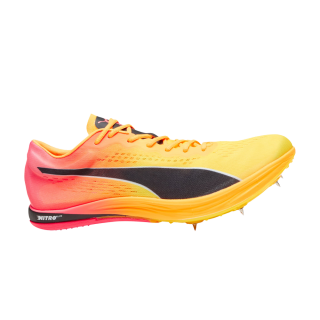 evoSpeed Long Distance 'Sun Stream Sunset Glow'