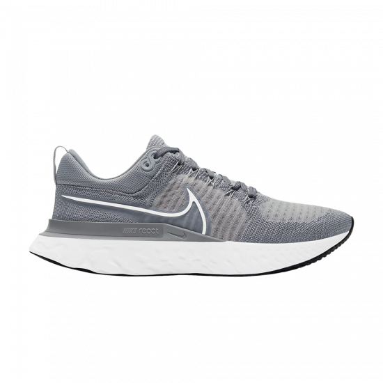 React Infinity Run Flyknit 2 'Particle Grey' ᡼