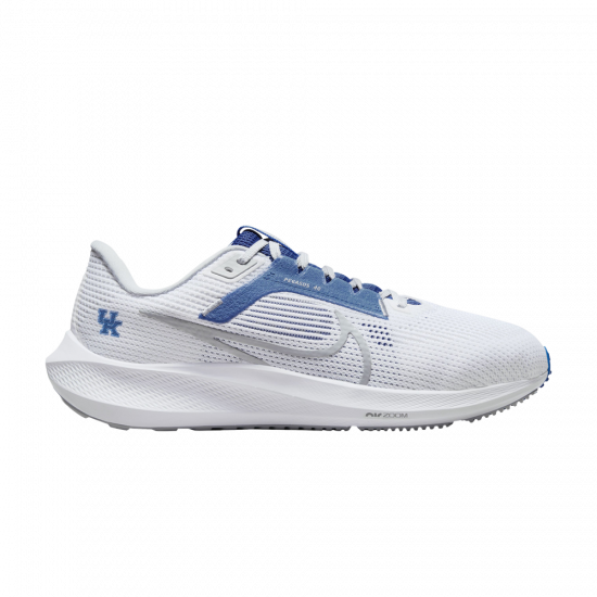 Air Zoom Pegasus 40 'Kentucky' ᡼