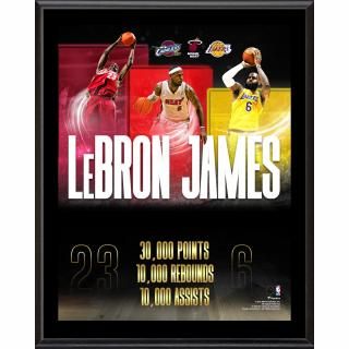 レブロン ジェームズ ファナティクス オーセンティック 12" x 15" 30,000 Points, 10,000 Rebounds, 10,000 Assists サブリミテッド プラーク