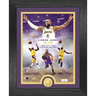 ֥ ॺ 󥼥륹쥤 ϥɥߥ 13'' x 16'' NBA  ͥ