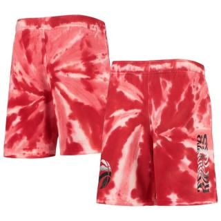NBA ラプターズ　NIKE バスケットパンツ 正規品／再入荷なし】NIKE NBA スウィングマン ショーツ ユース
