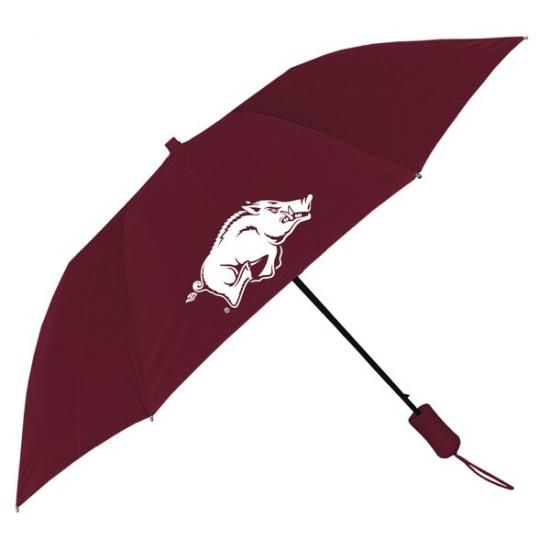 Arkansas RazorХås  ӥȥ꡼ ݡ 42