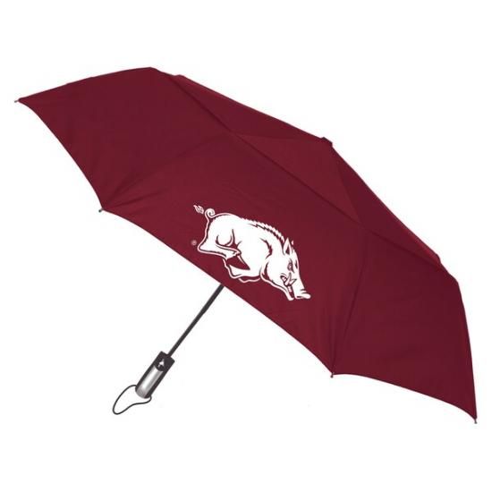 Arkansas RazorХås Windflow Dynamo ǥå 48