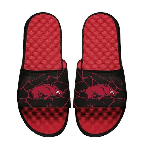 Arkansas RazorХås I饤 ˥å Shåtered 饤  ᡼