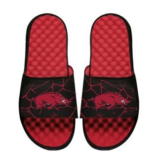 Arkansas RazorХås I饤 ˥å Shåtered 饤  ͥ