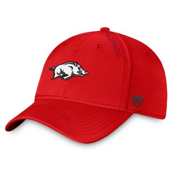 Arkansas RazorХås ȥå  the  Reflex 2.0 եå ᡼