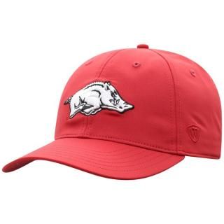 Arkansas RazorХås ȥå  the  ӥȥ꡼ Trainer Ĵ ͥ