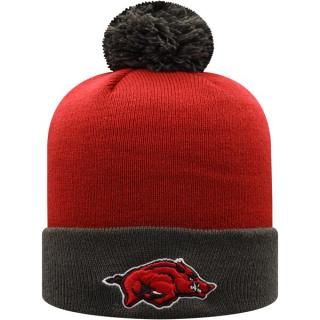 Arkansas RazorХås ȥå  the   ġȡ ޤ֤  ͥ