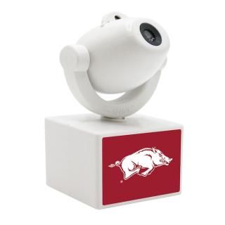 Arkansas RazorХås LED ߥ ݥåȥ饤 ץjecȥr Nite  ͥ