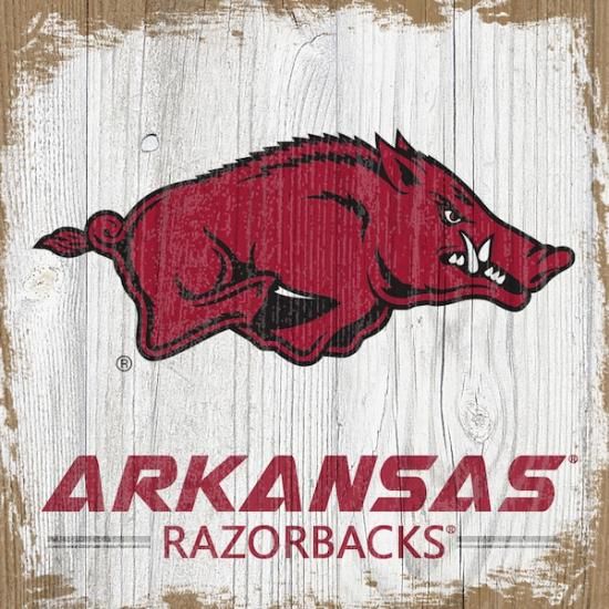 Arkansas RazorХås 6'' x 6''   ֥å ᡼