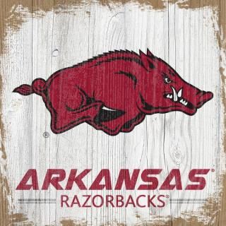 Arkansas RazorХås 6'' x 6''   ֥å ͥ
