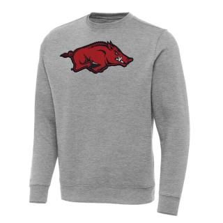Arkansas RazorХås ƥ ӥå & ȡ ӥȥ꡼ 롼ͥå  ͥ