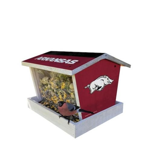 Arkansas RazorХås  ץ饤 Bird Feeder ᡼