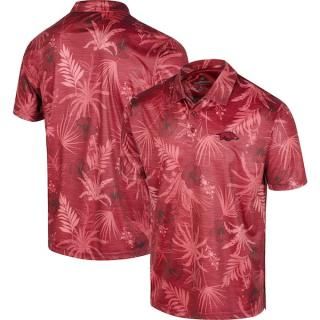 Arkansas RazorХås å Palms  ݥ - ǥʥ ͥ