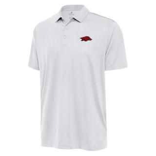 Arkansas RazorХås ƥ ӥå & ȡ Ellipse ݥ -  ͥ