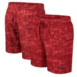 Arkansas RazorХås å Ozark  ѥ - ǥʥ ͥ