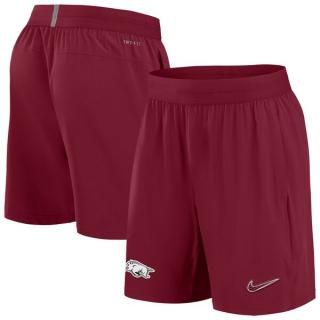 Arkansas RazorХås Nike 2024/25 ɥ饤 ѥեޥ  ͥ