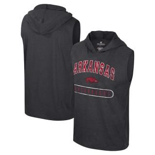 Arkansas RazorХås å ƥ Ρ꡼ ѡ 󥯥ȥå ͥ