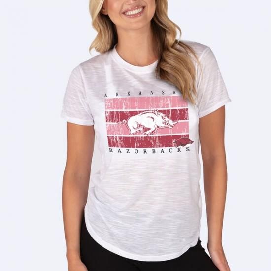 Arkansas RazorХås 󥻥ץ ݡ ǥ Infuse    ᡼