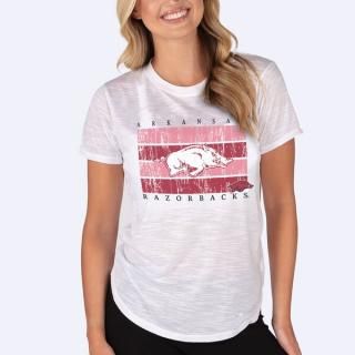 Arkansas RazorХås 󥻥ץ ݡ ǥ Infuse    ͥ