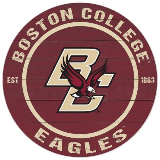Bosȥn å Eagles 20'' x 20'' ɥ/ȥɥ   ᡼