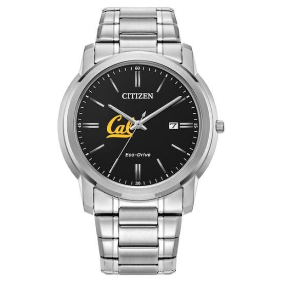 ٥ Citizen å Eco-ɥ饤 ֥å Dial å - С ᡼