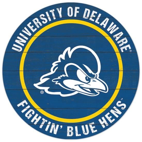 Delaware Fightin' ֥롼 Hens 20'' x 20'' ɥ/ȥɥ  ᡼