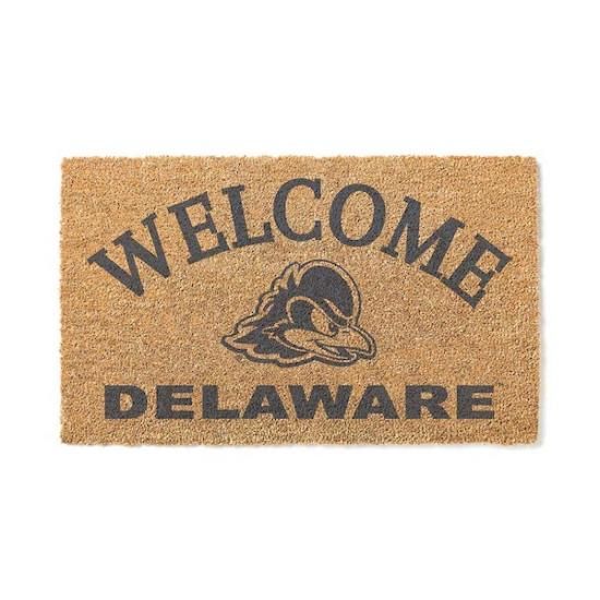 Delaware Fightin' ֥롼 Hens 18