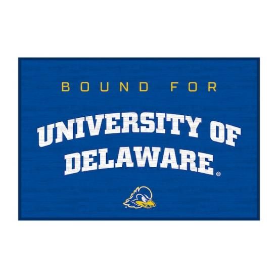 Delaware Fightin' ֥롼 Hens 20