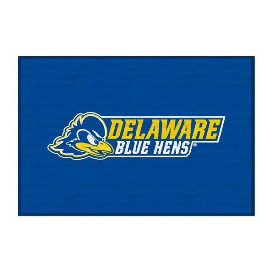Delaware Fightin' ֥롼 Hens 20