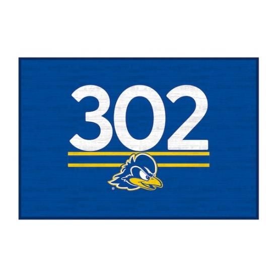 Delaware Fightin' ֥롼 Hens 20